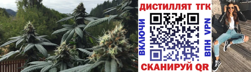 omg ТОР  Мценск  Дистиллят ТГК THC oil 